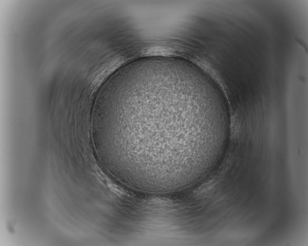X0000102360529200808081132