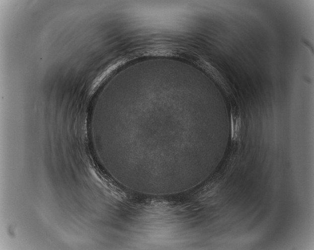 X0000102360531200808081132