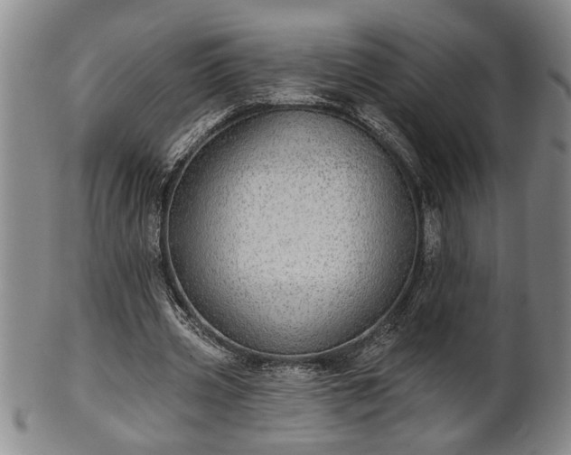 X0000102360533200808081132