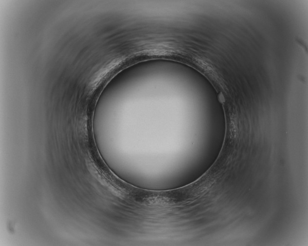 X0000102360535200808081132