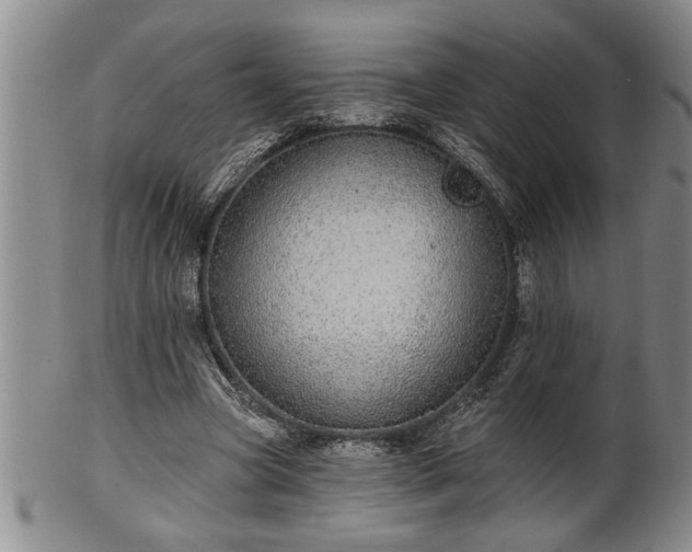 X0000102360537200808081132
