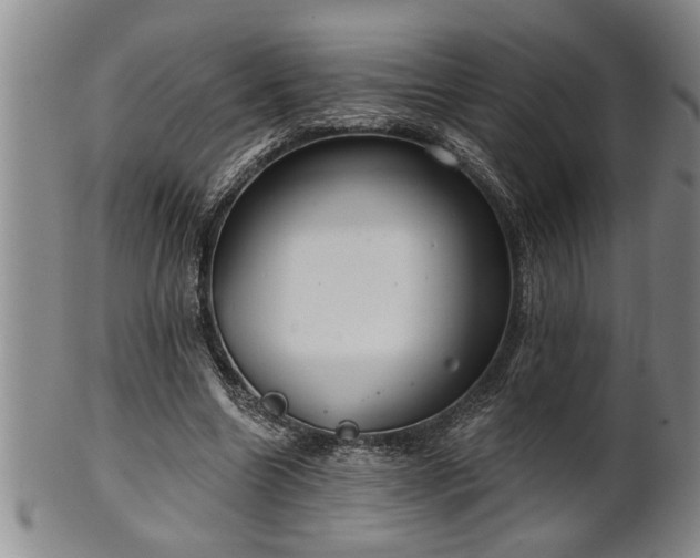 X0000102360538200808081132
