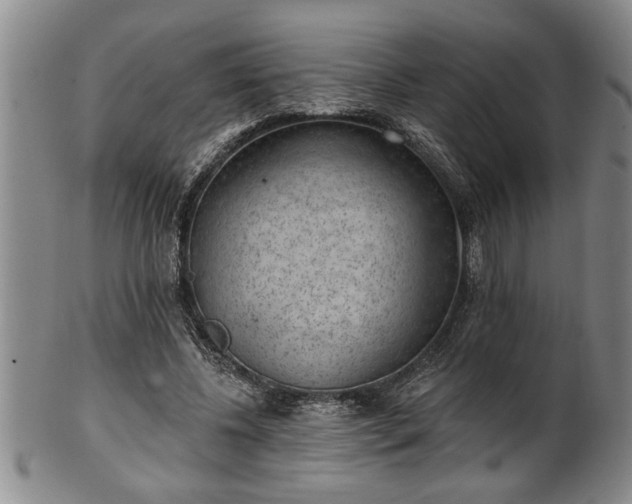 X0000102360540200808081132