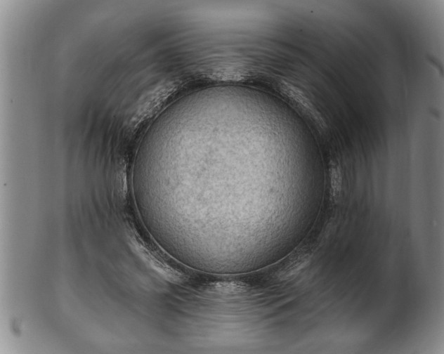 X0000102360541200808081132