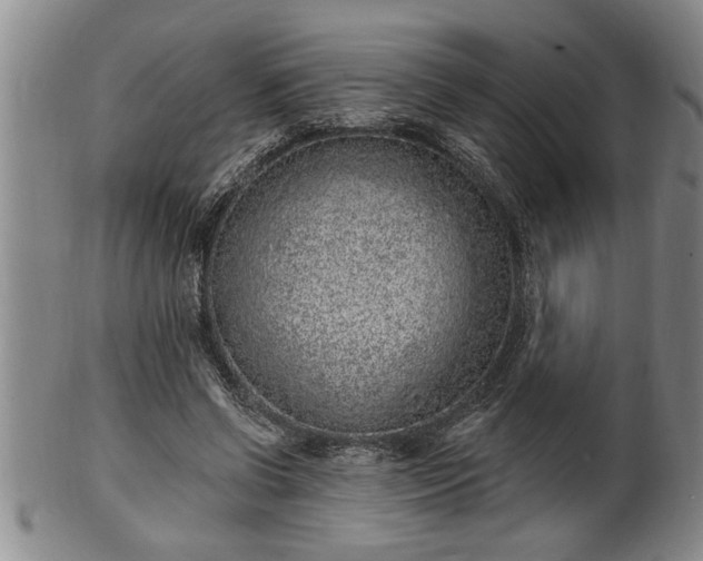 X0000102360542200808081132