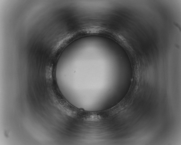X0000102360543200808081132