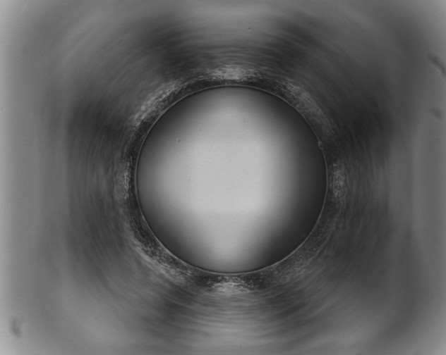 X0000102360544200808081132