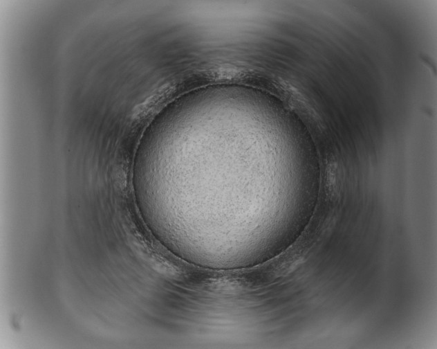 X0000102360545200808081132
