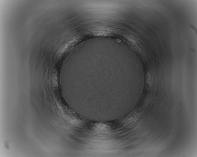 X0000102360547200808081132