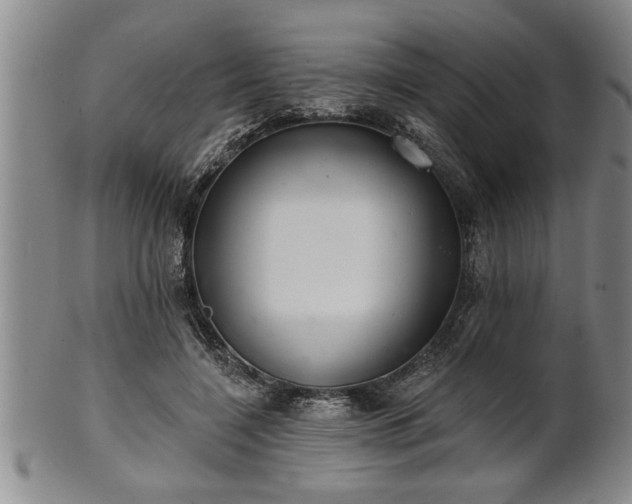 X0000102360548200808081132