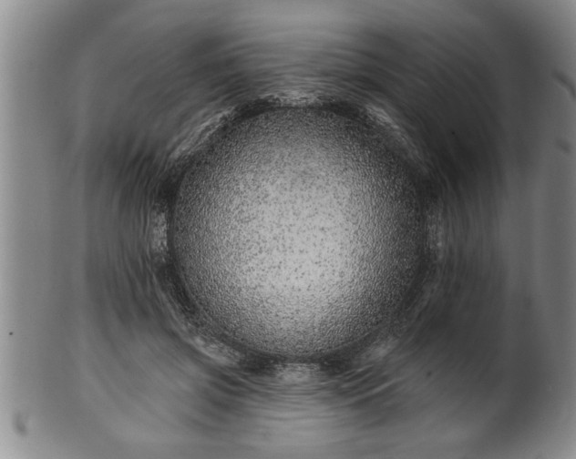 X0000102360549200808081132