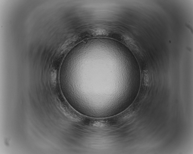 X0000102360550200808081132