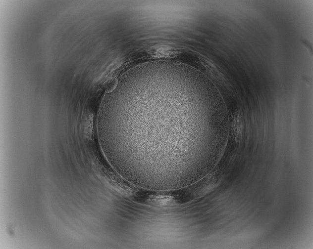 X0000102360554200808081132