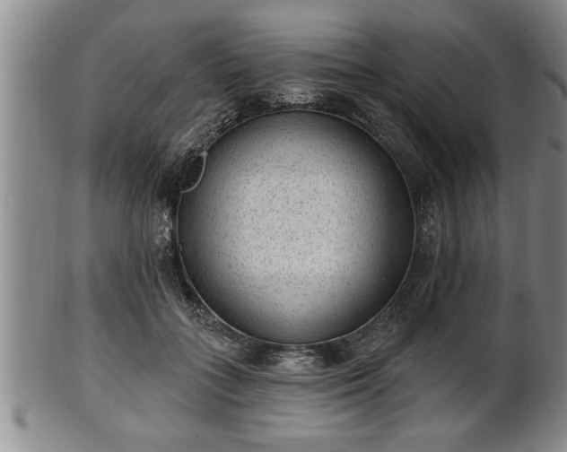 X0000102360555200808081132