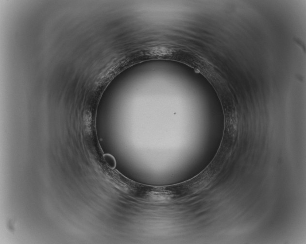 X0000102360556200808081132