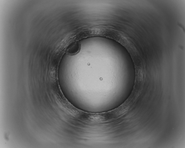 X0000102360557200808081132