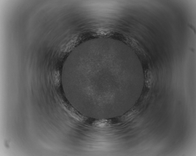 X0000102360563200808081133