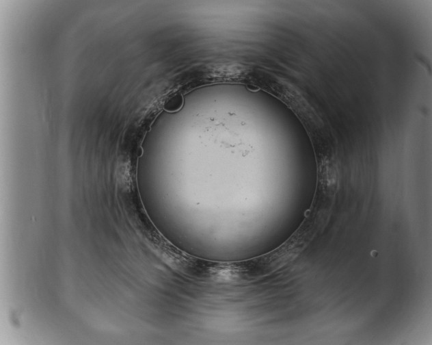 X0000102360564200808081133