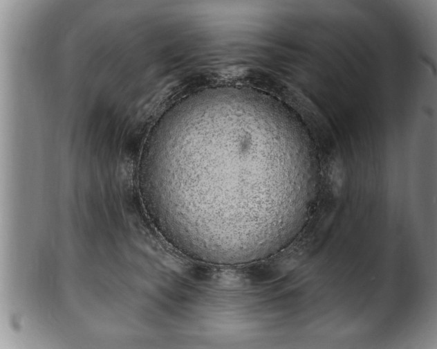 X0000102360565200808081133