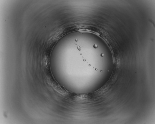 X0000102360567200808081133