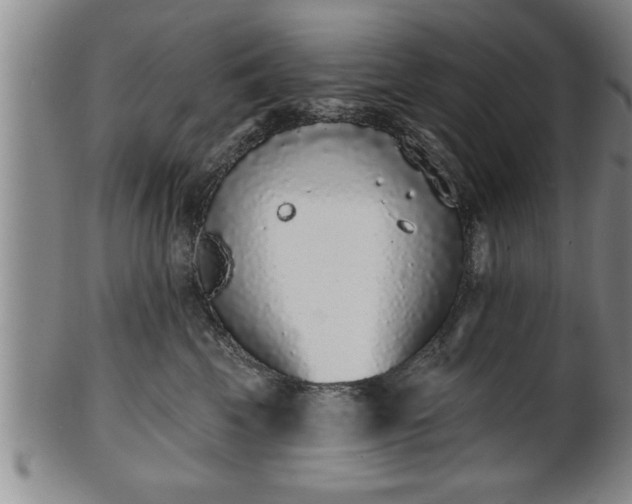 X0000102360569200808081133