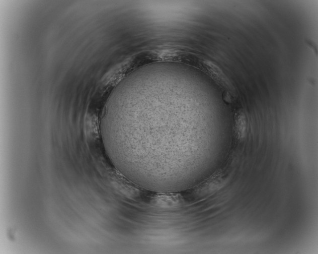 X0000102360571200808081133