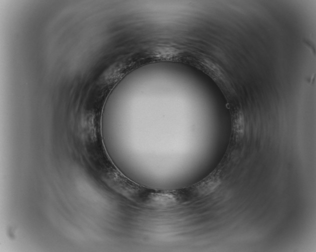 X0000102360572200808081133