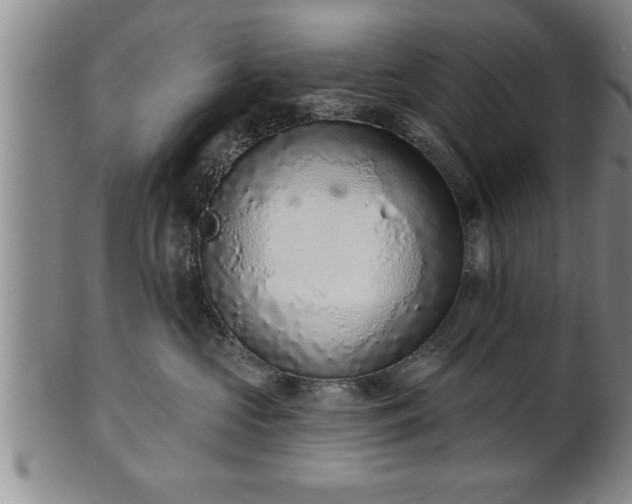 X0000102360573200808081133