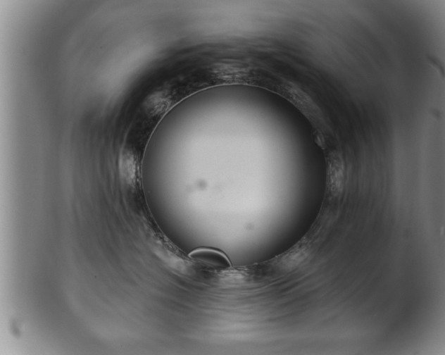 X0000102360574200808081133