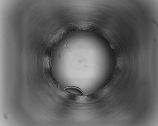X0000102360575200808081133