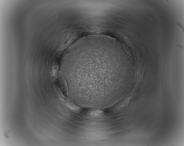 X0000102360576200808081133