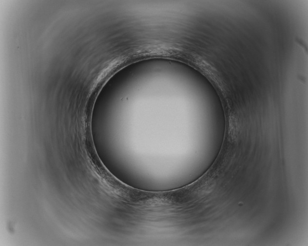 X0000102360578200808081132