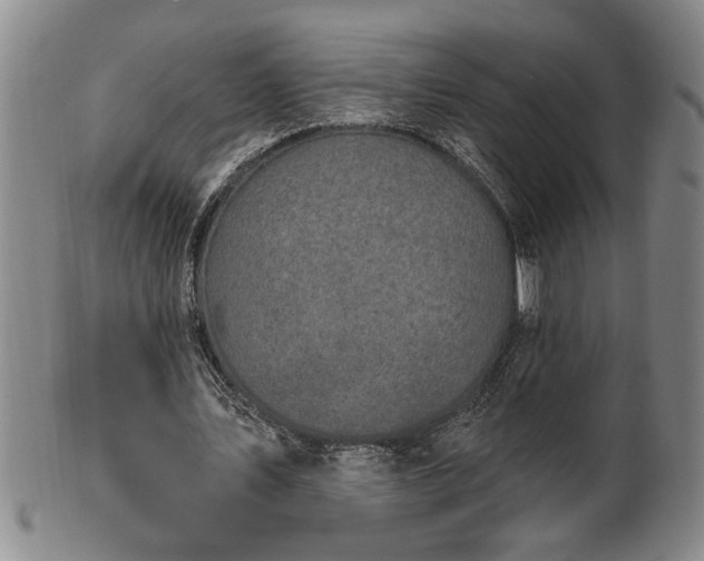 X0000102360579200808081132