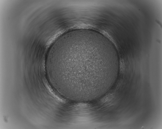 X0000102360581200808081132