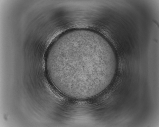 X0000102360584200808081132