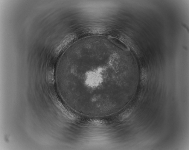 X0000102360585200808081132