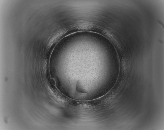 X0000102360586200808081132