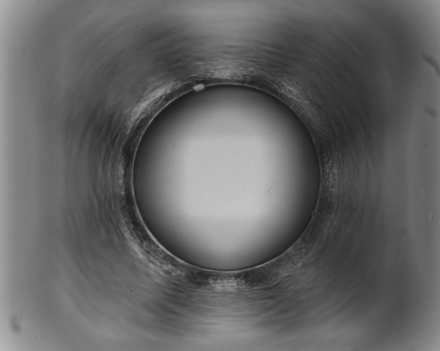 X0000102360587200808081132