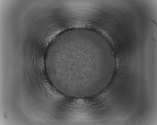 X0000102360588200808081132