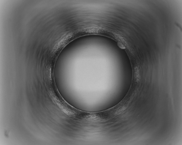 X0000102360589200808081132