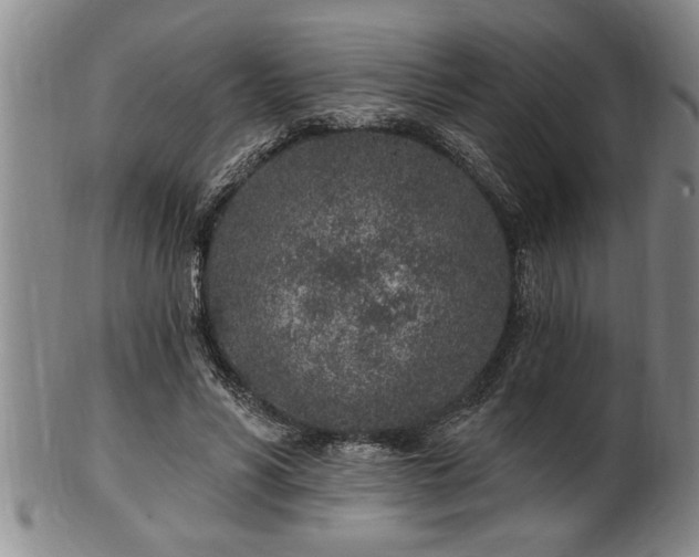 X0000102360590200808081132