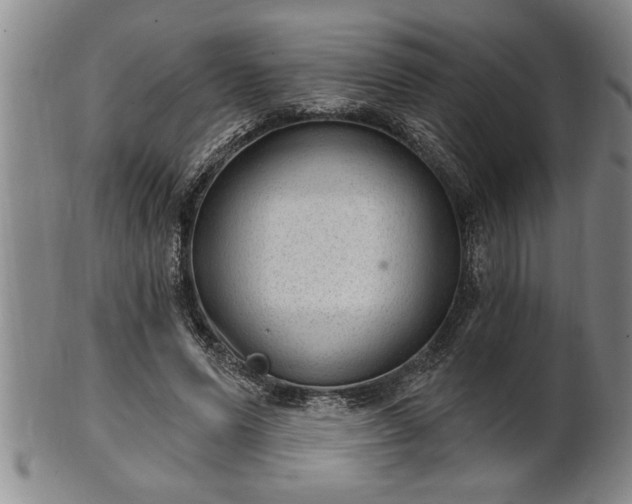 X0000102360591200808081132