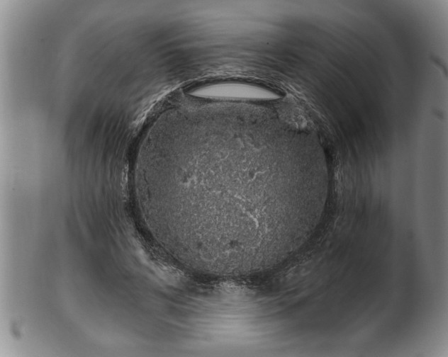 X0000102360592200808081132