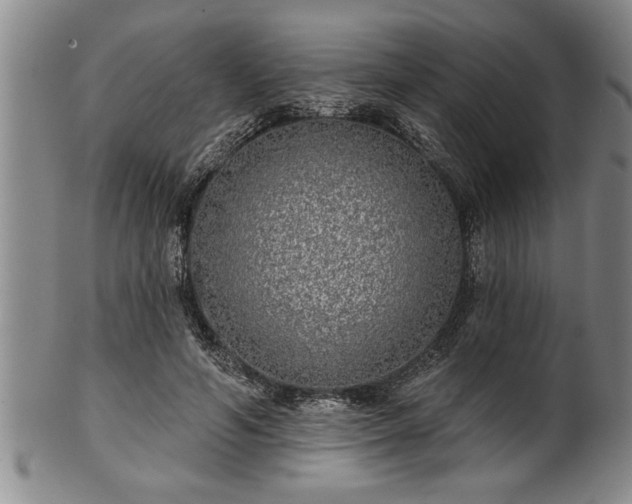 X0000102360594200808081132