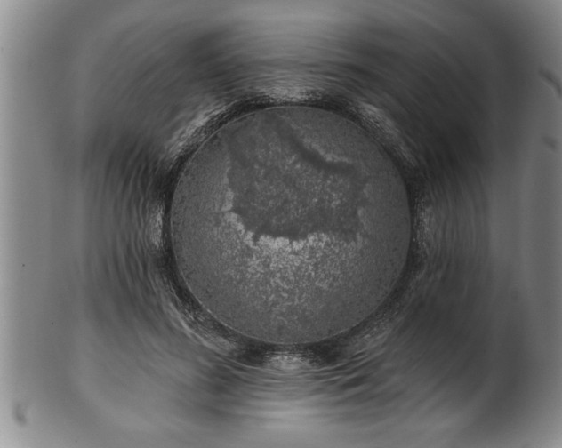 X0000102360596200808081132
