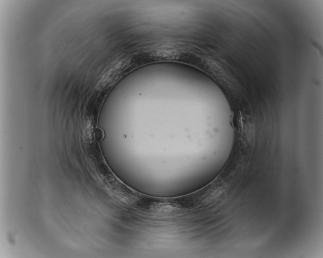 X0000102360597200808081132