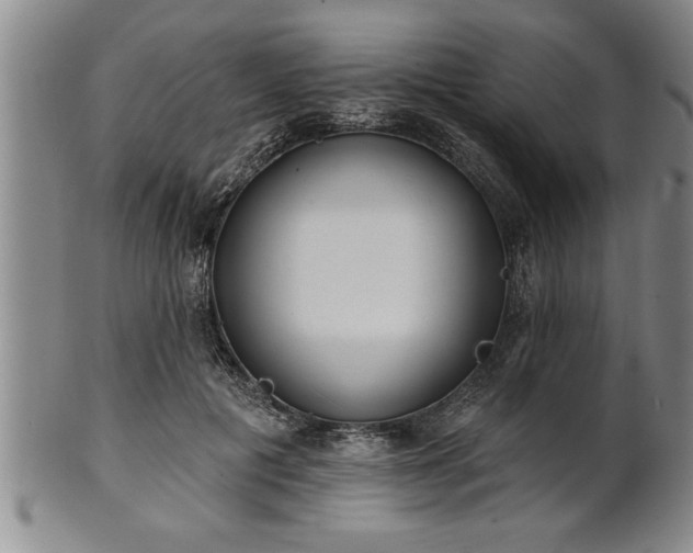 X0000102360601200808081132