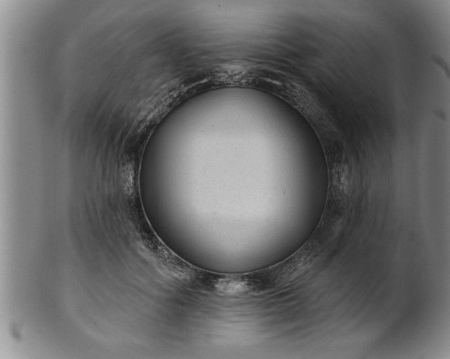 X0000102360602200808081132