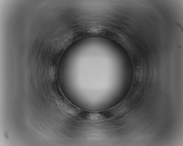 X0000102360605200808081132
