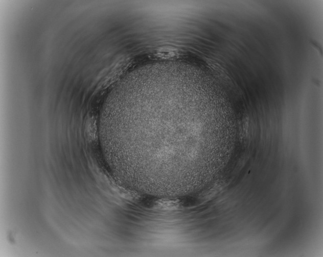 X0000102360606200808081132